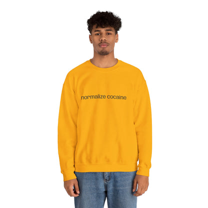 "Normalize Cocaine" Embroidered Sweatshirt